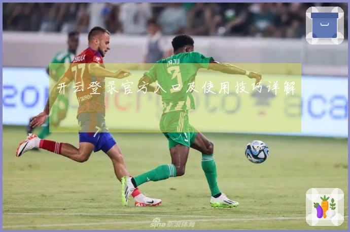 开云登录官方入口及使用技巧详解