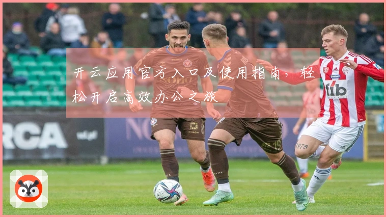 开云应用官方入口及使用指南，轻松开启高效办公之旅