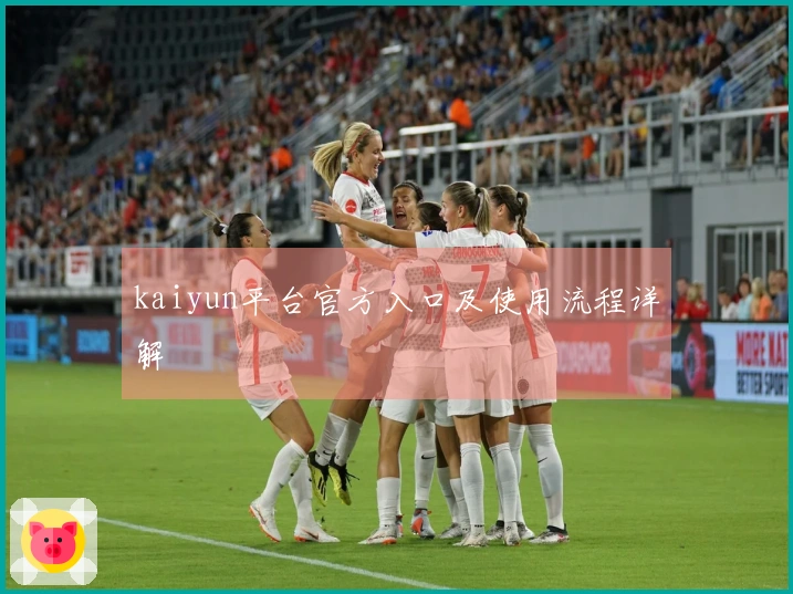 kaiyun平台官方入口及使用流程详解