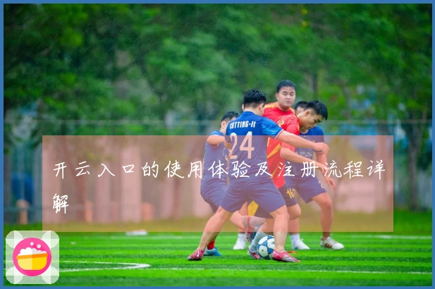 开云入口的使用体验及注册流程详解