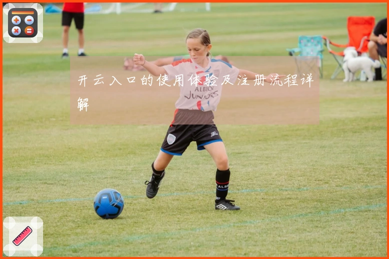 开云入口的使用体验及注册流程详解